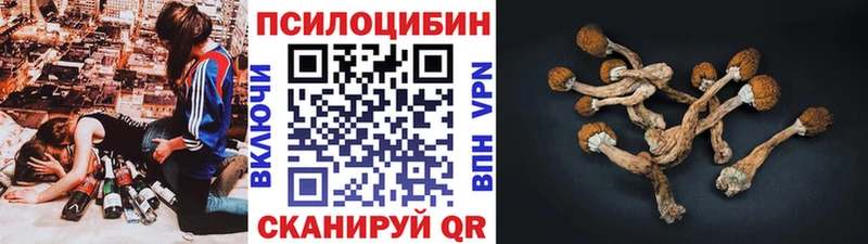 kraken ONION  Никольск  Псилоцибиновые грибы прущие грибы 
